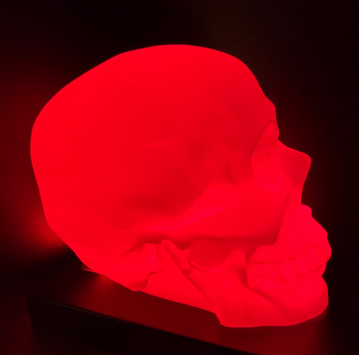 NEPHOS Skull Lamp - Limited Edition - !!! PRE-SALE !!!