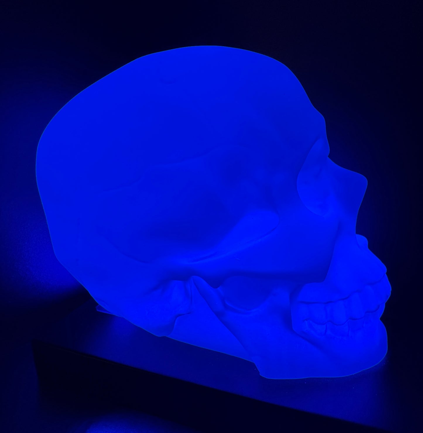 NEPHOS Skull Lamp - Limited Edition - !!! PRE-SALE !!!