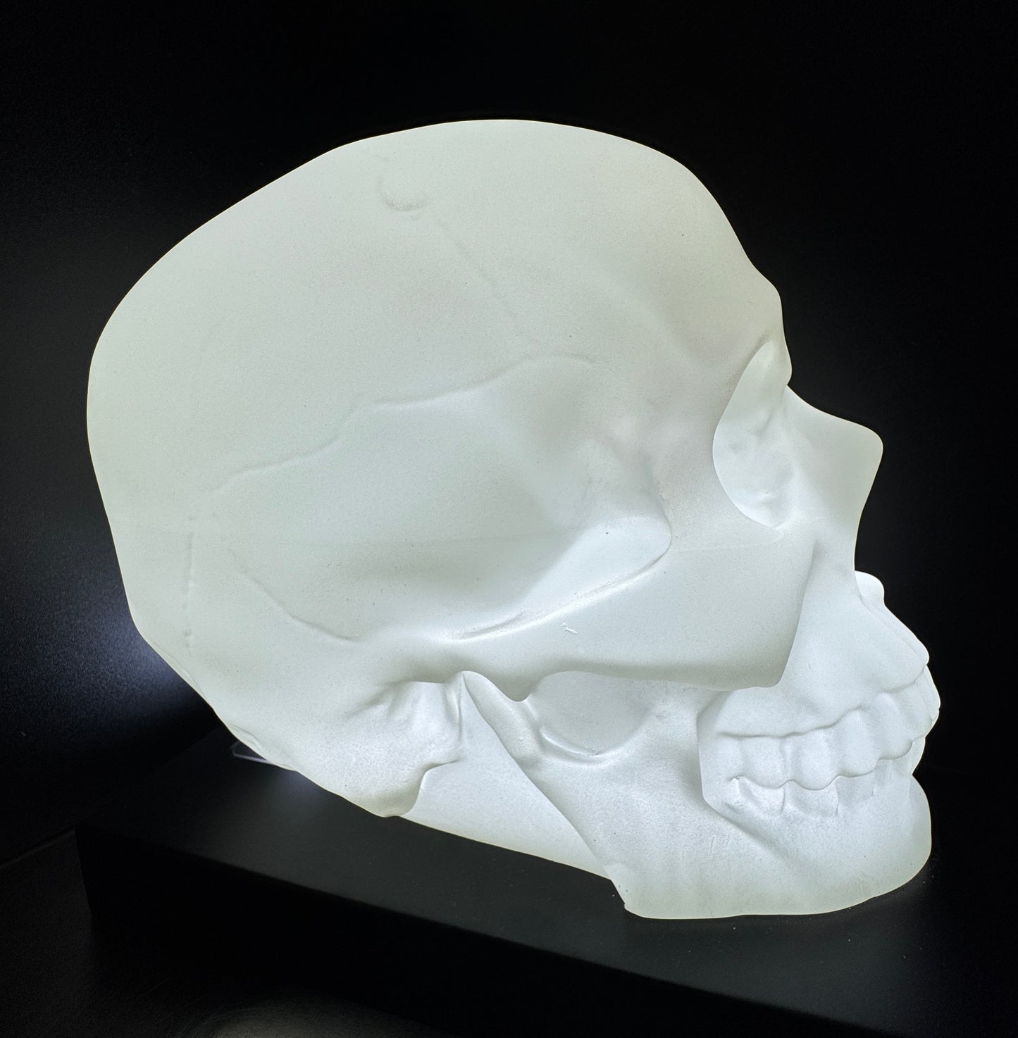 NEPHOS Skull Lamp - Limited Edition - !!! PRE-SALE !!!
