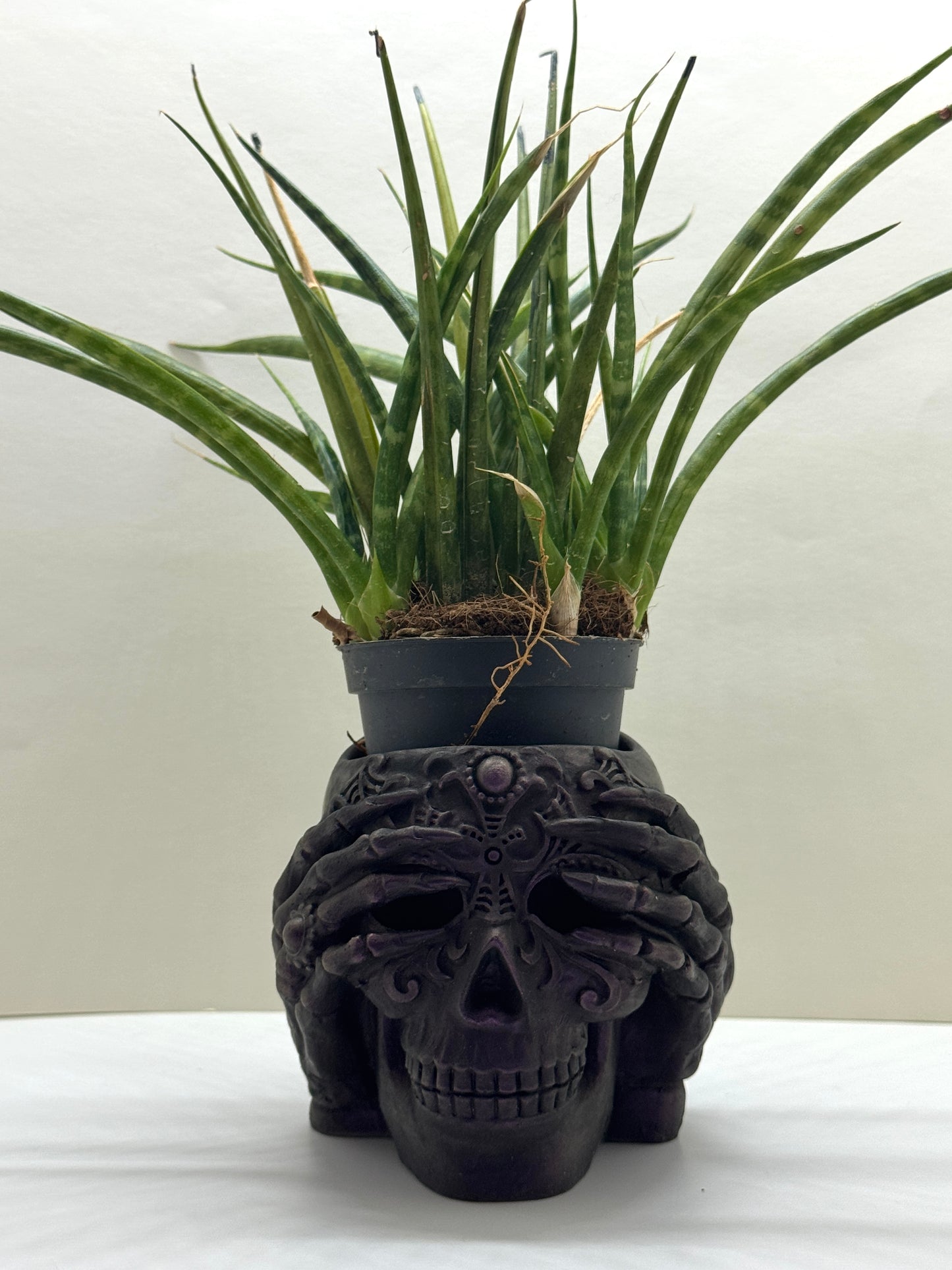 Desk decoration Skull