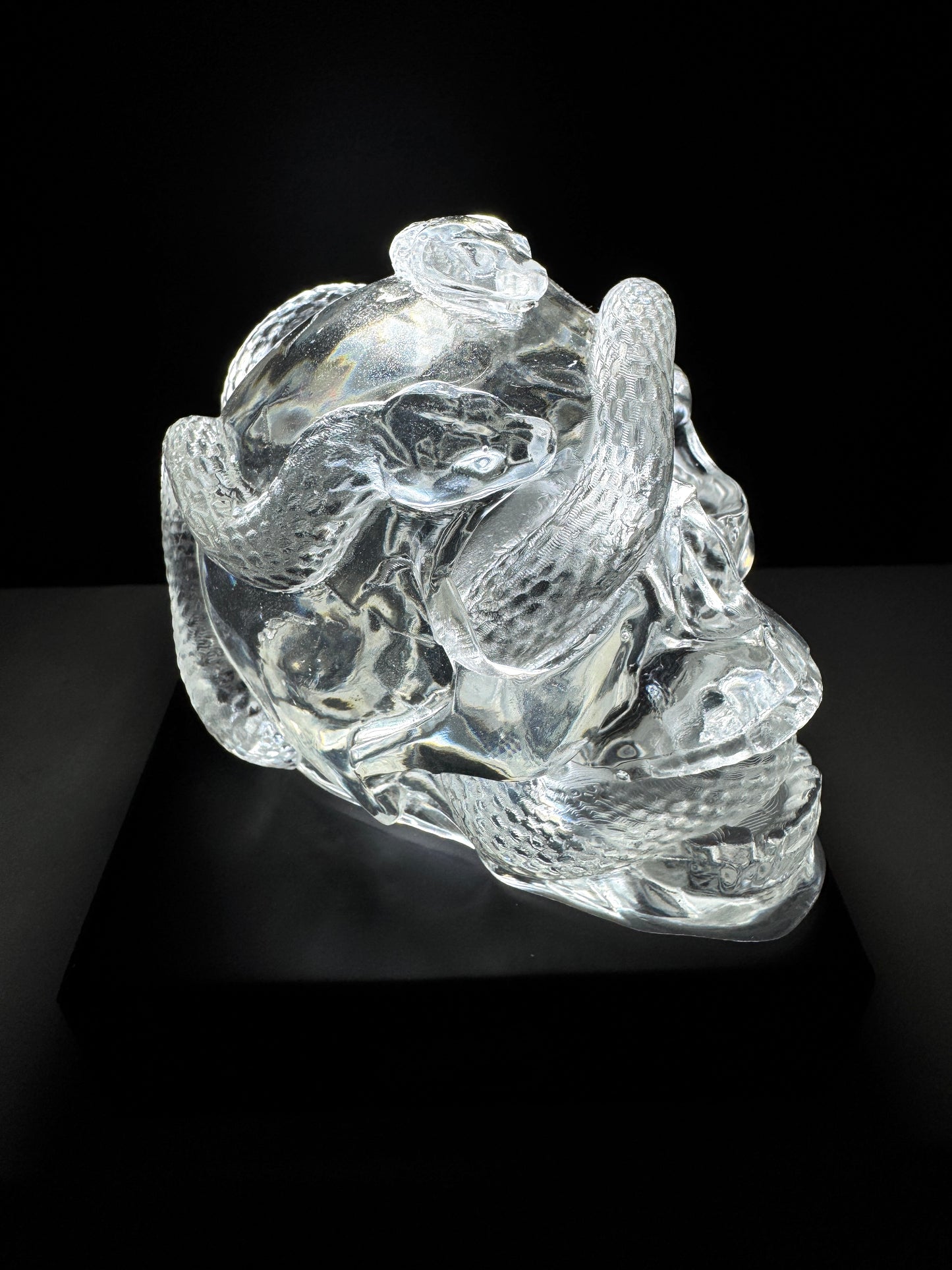 Transparent Snake Skull WITH LEDLAMP BASE