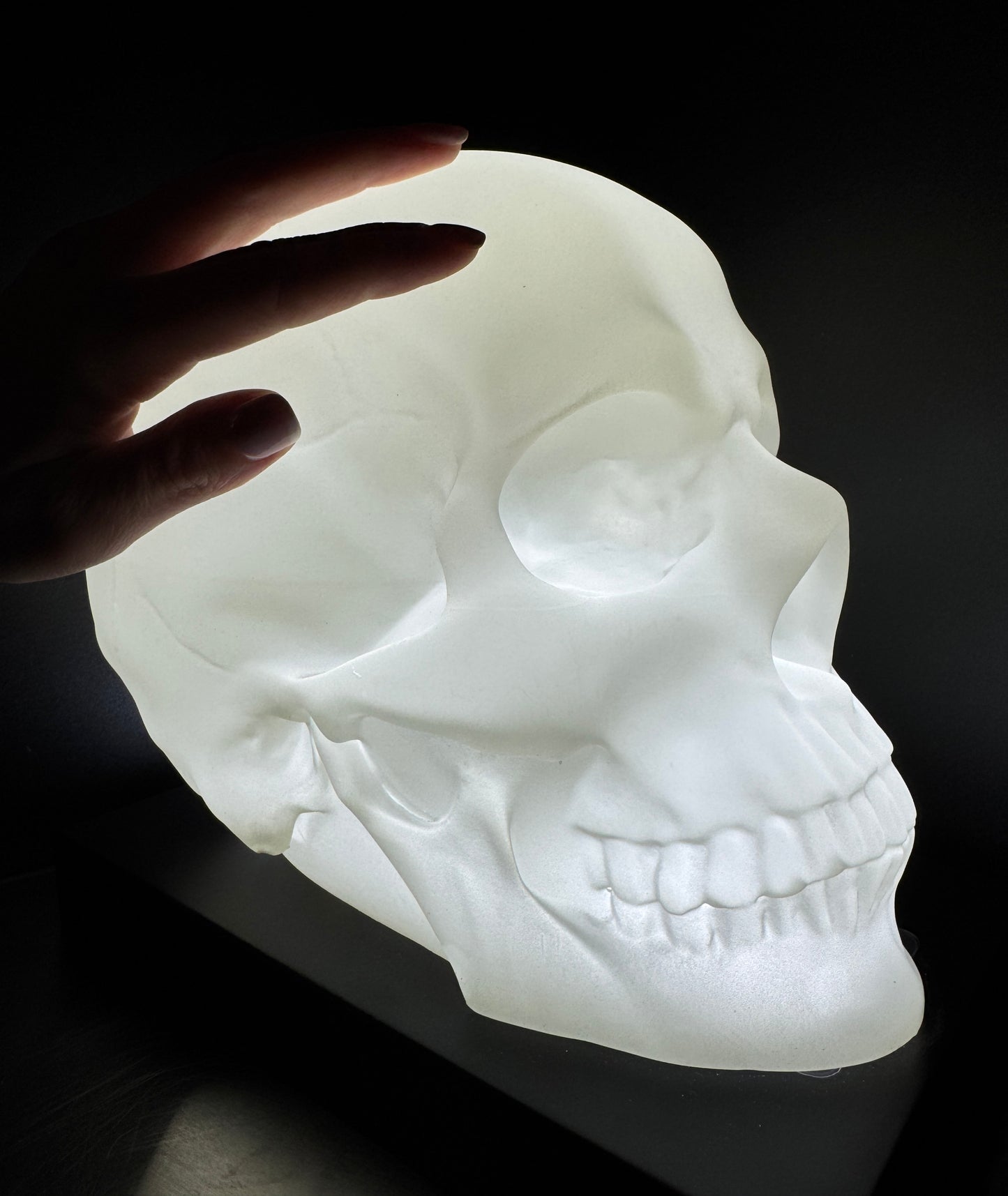 NEPHOS Skull Lamp - Limited Edition - !!! PRE-SALE !!!