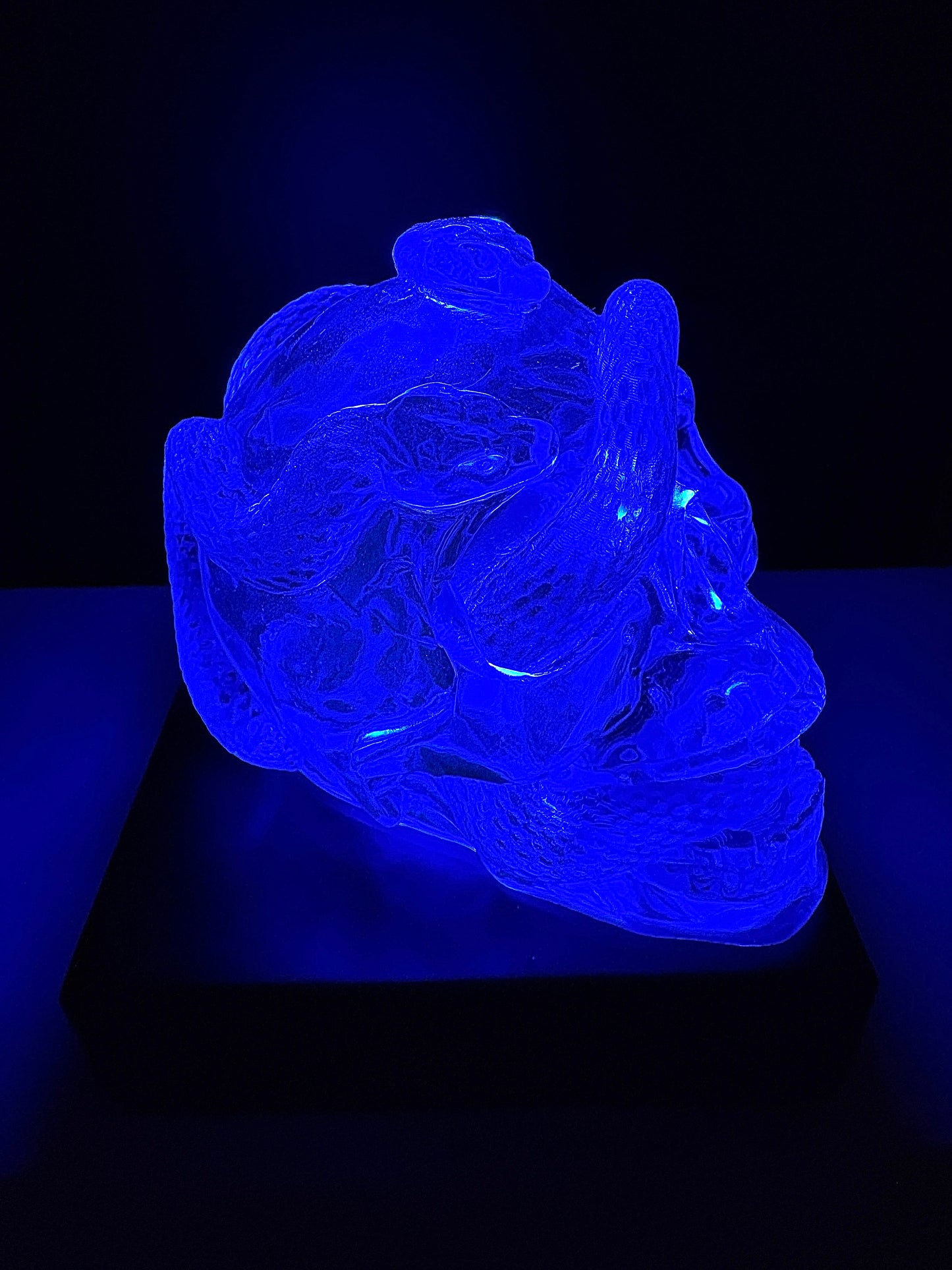 Transparent Snake Skull WITH LEDLAMP BASE