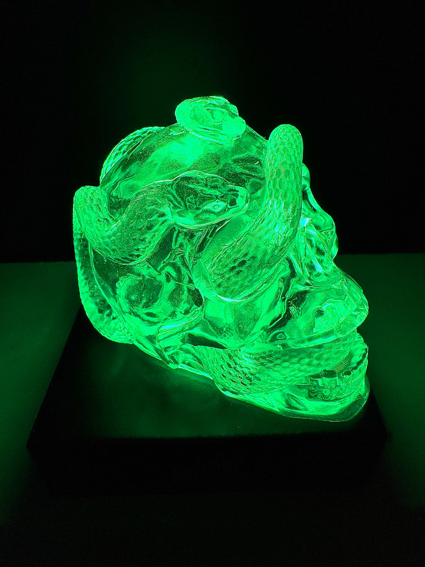 Transparent Snake Skull WITH LEDLAMP BASE
