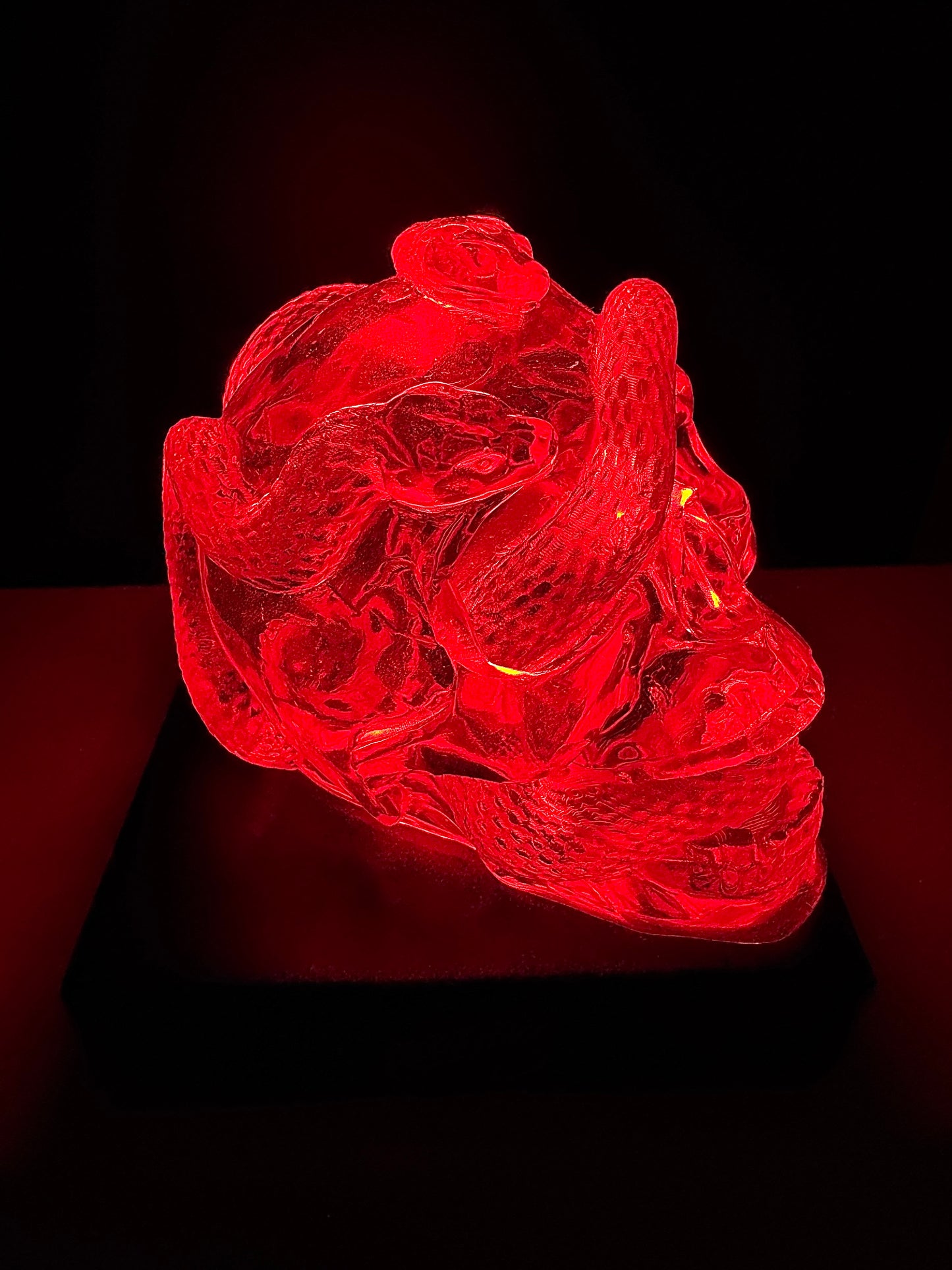 Transparent Snake Skull WITH LEDLAMP BASE