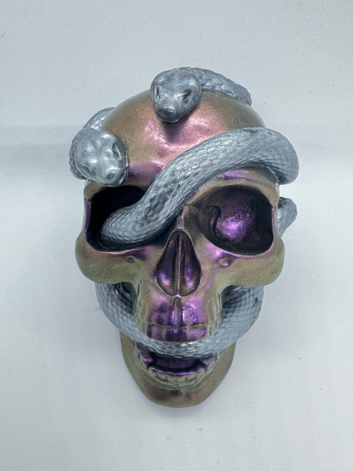 Snake Skull