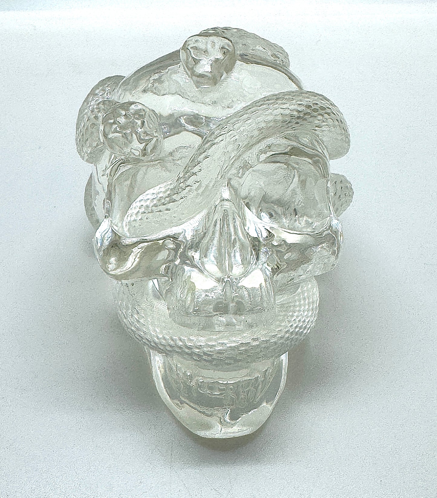 Transparent Snake Skull WITH LEDLAMP BASE