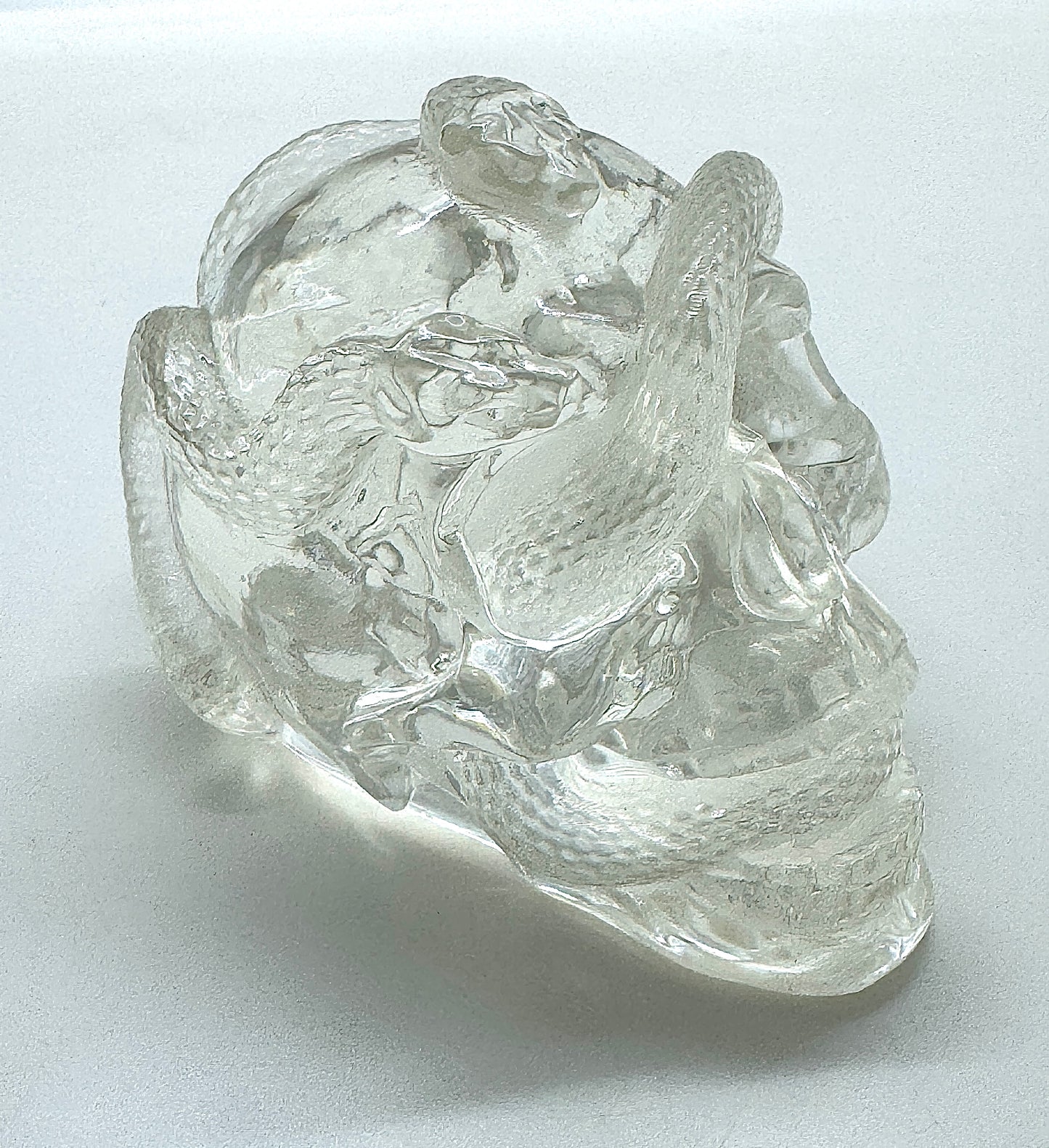 Transparent Snake Skull WITH LEDLAMP BASE