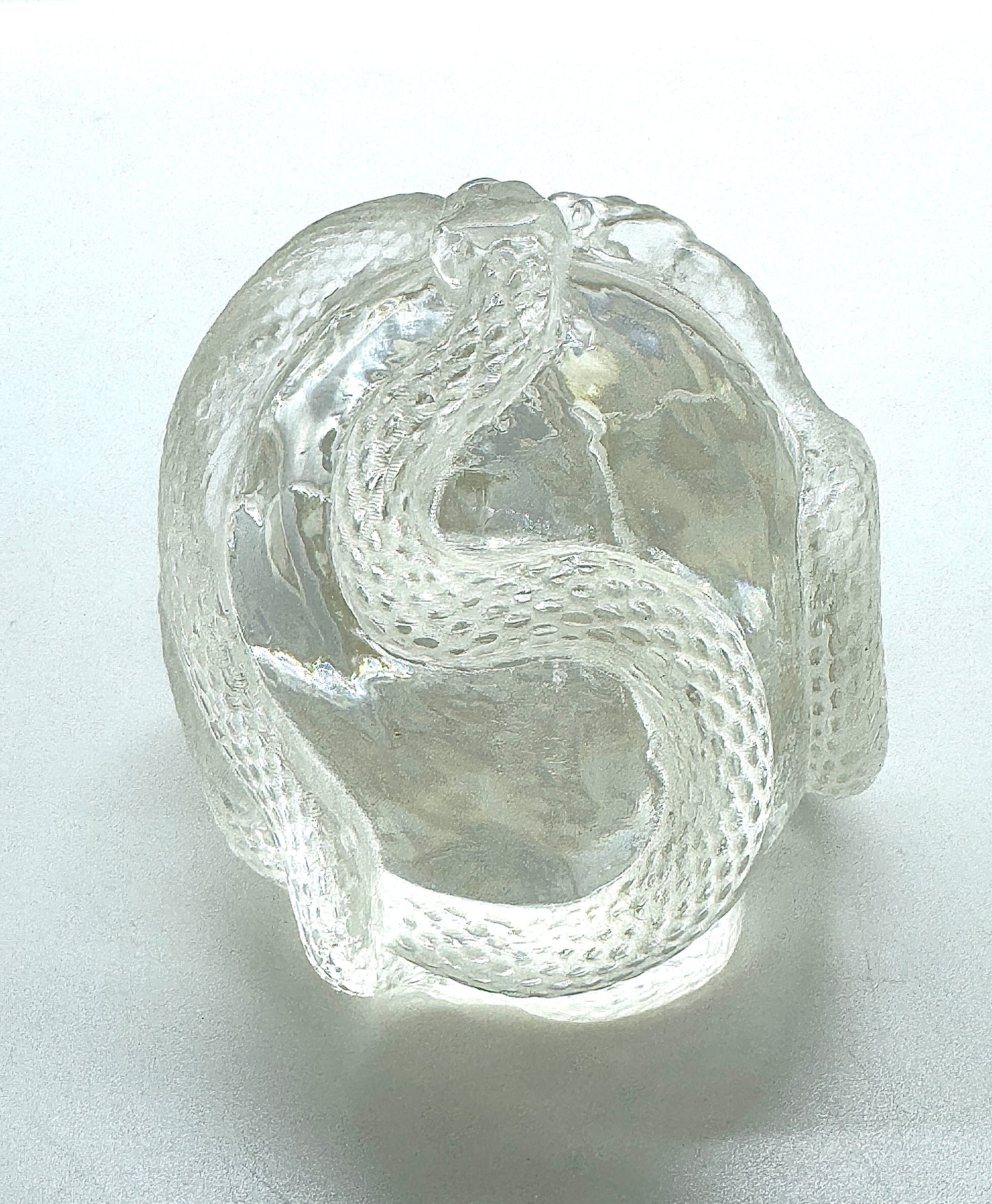 Transparent Snake Skull WITH LEDLAMP BASE
